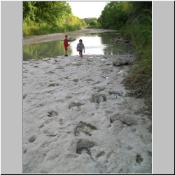 100_0251 (2009-24-07).JPG